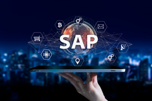 Why Does Your Business Need an SAP Business One Partner in the Americas?