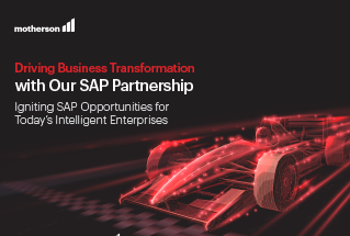 SAP Partnership