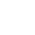Data Viz Icon