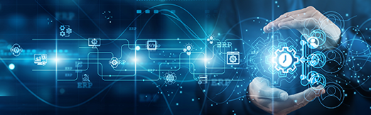 ERP Migration Support